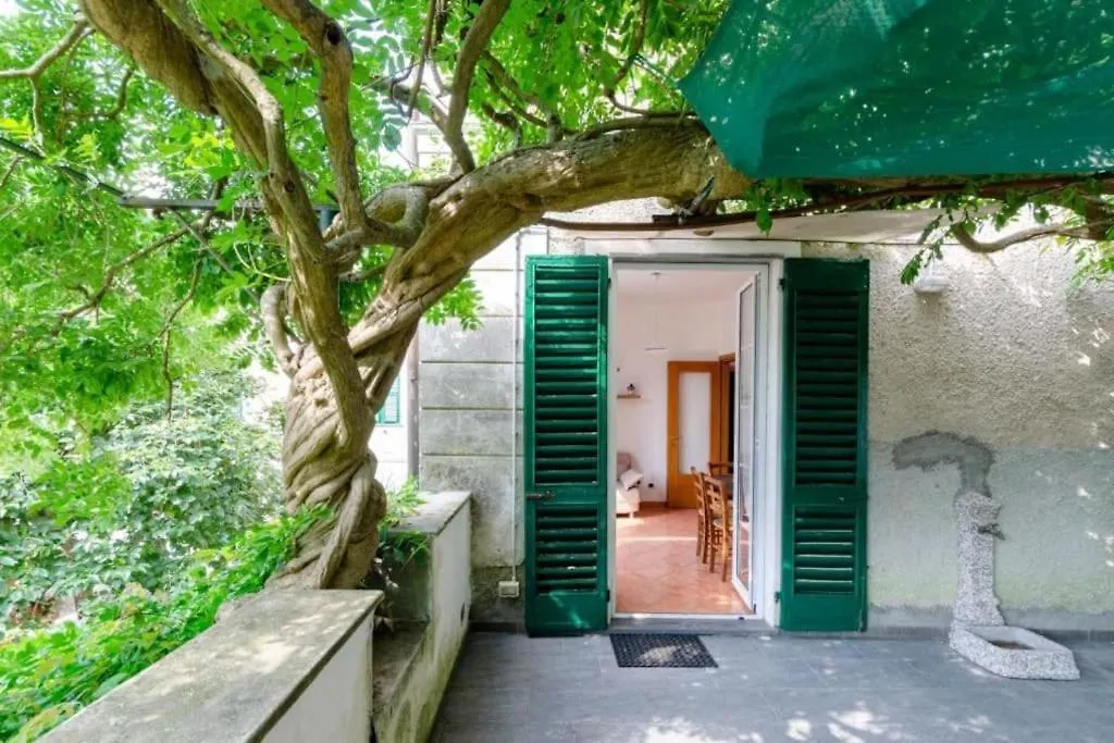 Il Glicine Di Villa Vittoria Nel Verde A Pochi Minuti Di Auto Dalle Spiagge Borgonovo 0*,